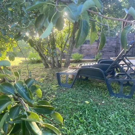 Avec 公寓 Saint-Avit-Sénieur